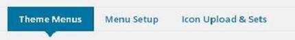 WPtouch Mobile Plugin (7)